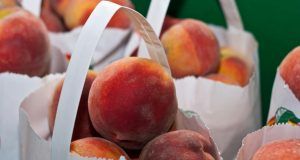 pexels nc farm bureau mark 2253534