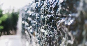 pexels neverlandphotos 5028913