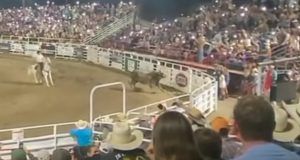 rodeo