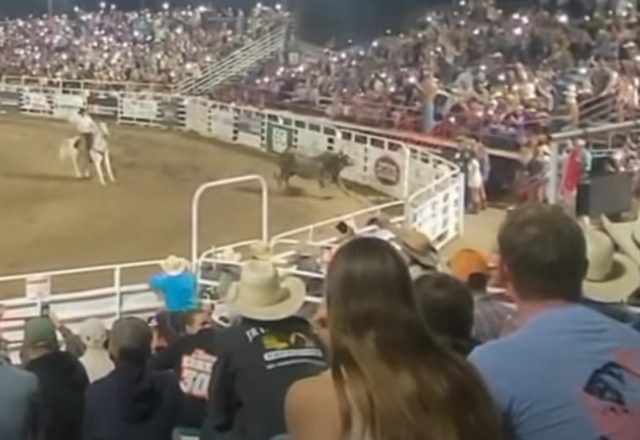 rodeo