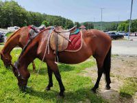 storage emulated 0 DCIM Camera IMG 20240609 123001