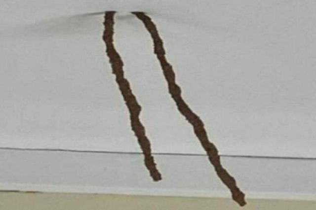 1480383 s ls 1480383 s ls