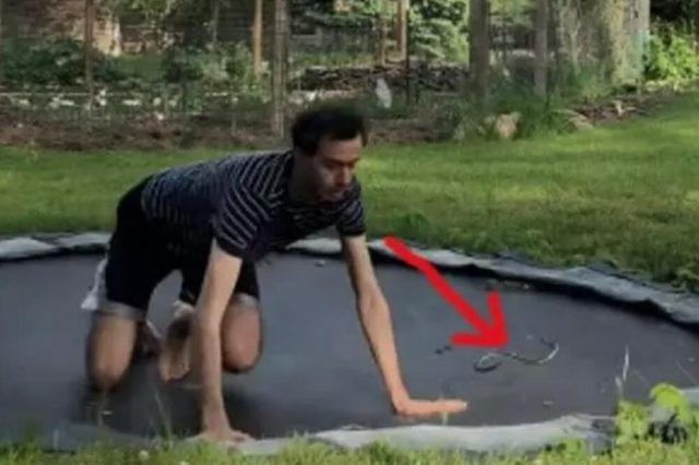 1518933 zmija ls 1518933 zmija ls