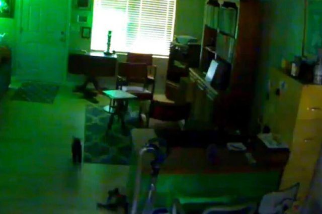 1520279 untitled ls 1520279 untitled ls