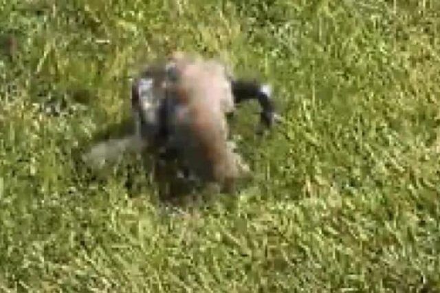 1520926 screenshot 20240718 174748 ls 1520926 screenshot 20240718 174748 ls