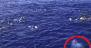 1521327 screenshot 20240720 115753 ls