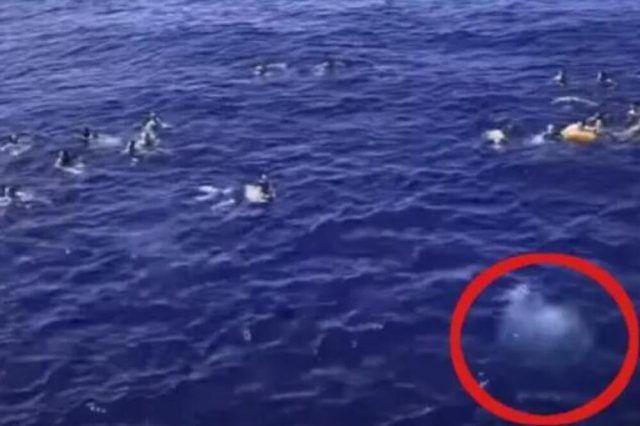 1521327 screenshot 20240720 115753 ls