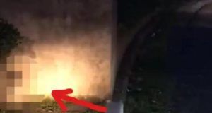 1521466 screenshot 20240721 102720 ls