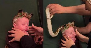 1522740 screenshot 20240727 074740 ls