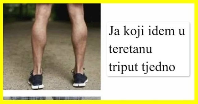 1cb3f693 2f62 4110 bc22 f570565d38ef