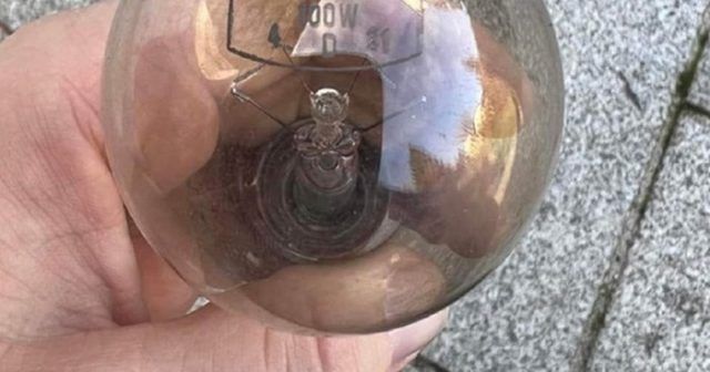 276890b1 c42a 4d6d 9af1 972a591903c5 (1)