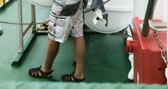 2c022dcb 0b17 4112 8981 b28c572a358d