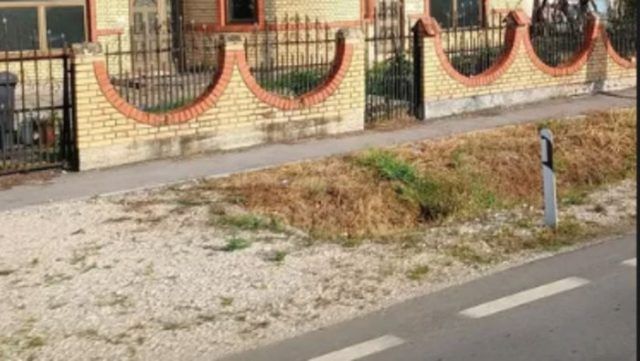 3e5fc0e6 cabd 4d16 aa43 477adbdcf8f6