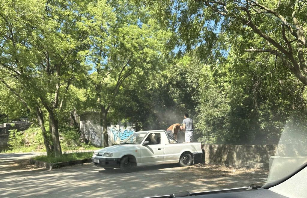 436514847 10228687067895284 1751985831590936941 n 1 1