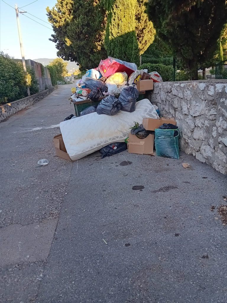 450953439 919054539985191 3856288414758798039 n