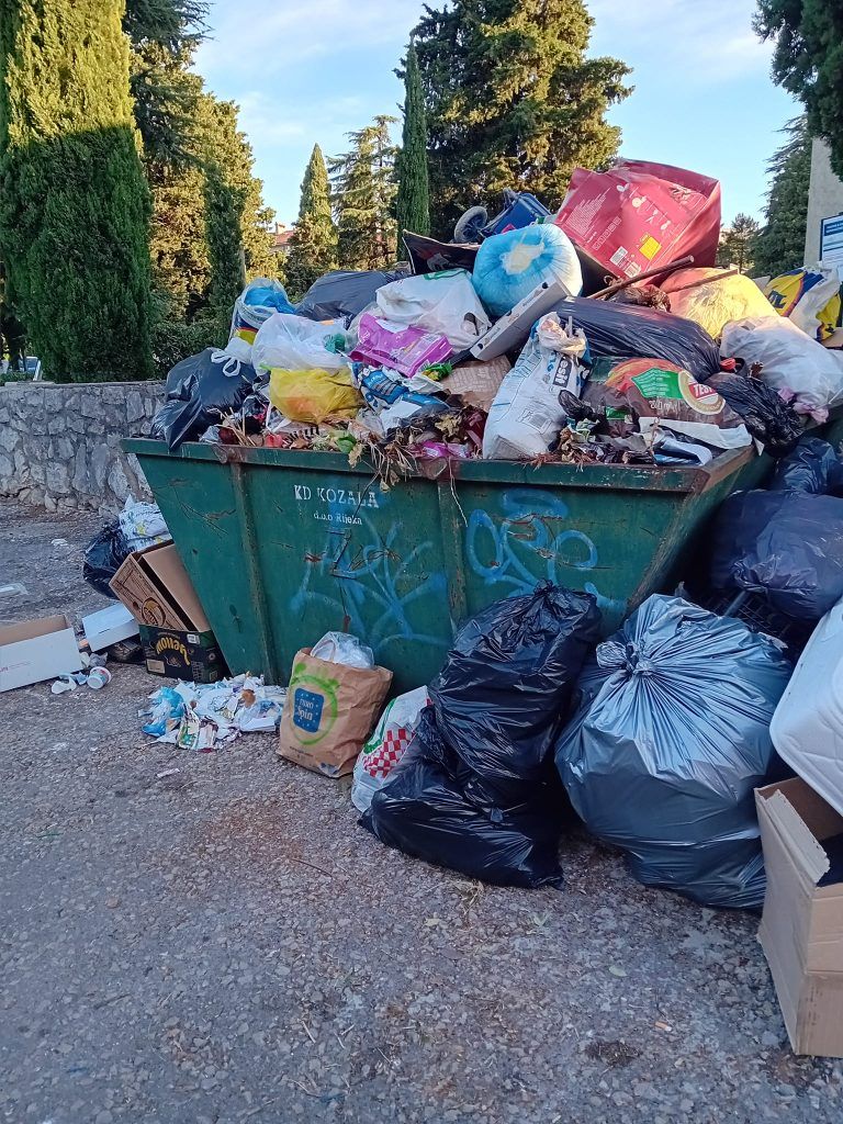 451082462 919054589985186 159310548793601026 n