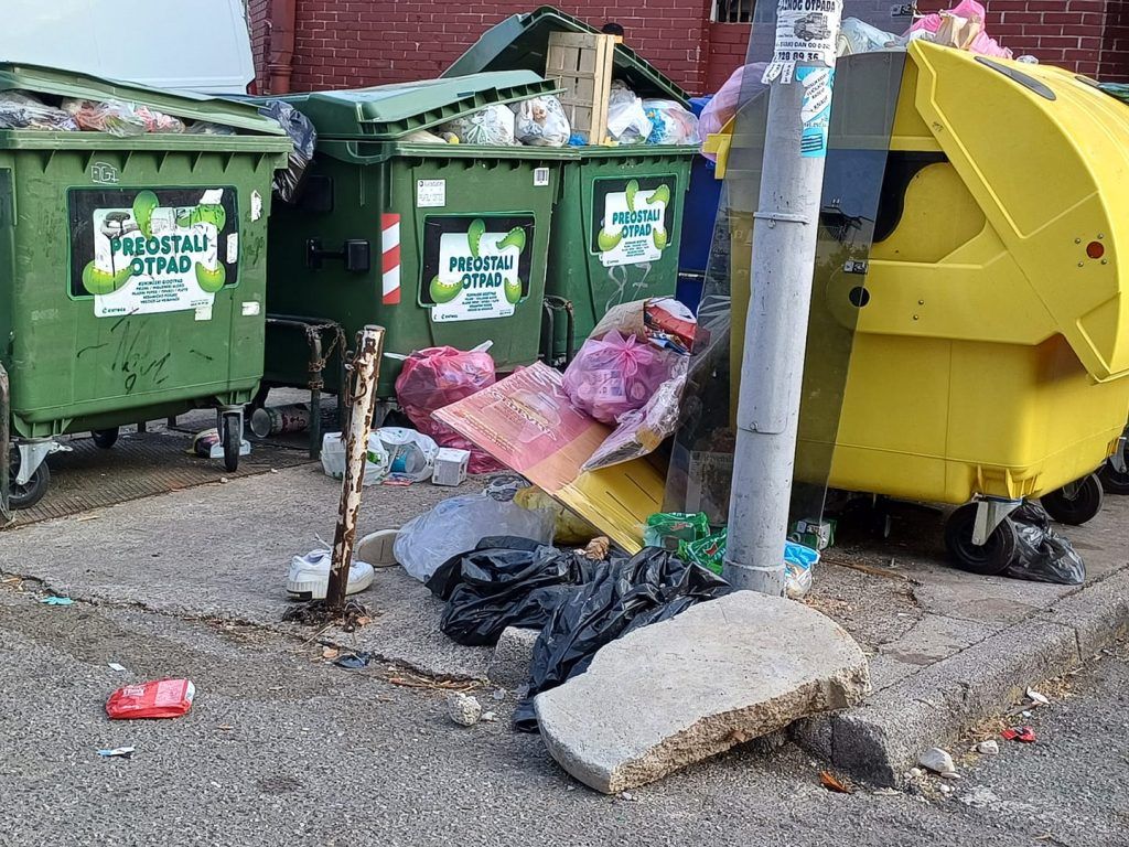 451764182 508051721645044 6486486552079317856 n