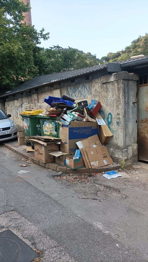 451814575 7856594931056130 4439402062357417483 n