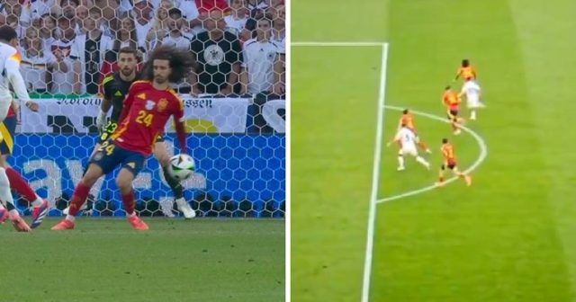 666fdd7b 31ed 4ede 85aa 036e8144c56e