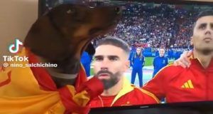 6bbf47c6 19fb 4f30 9151 fce9784e0167