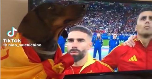 6bbf47c6 19fb 4f30 9151 fce9784e0167