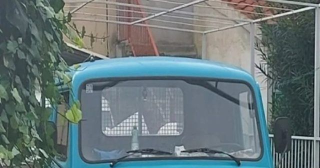 816662b1 7434 41eb a252 a351bc7a5f06