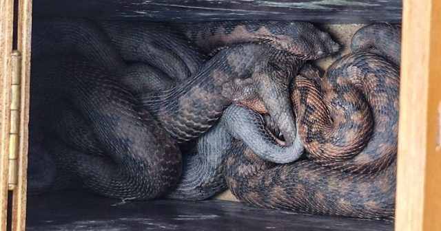 923661eb 5501 45cc 9090 294e31e5038d