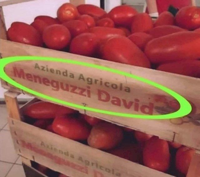 9b000a11 d81f 477c 8ca9 42f2d379e1ef