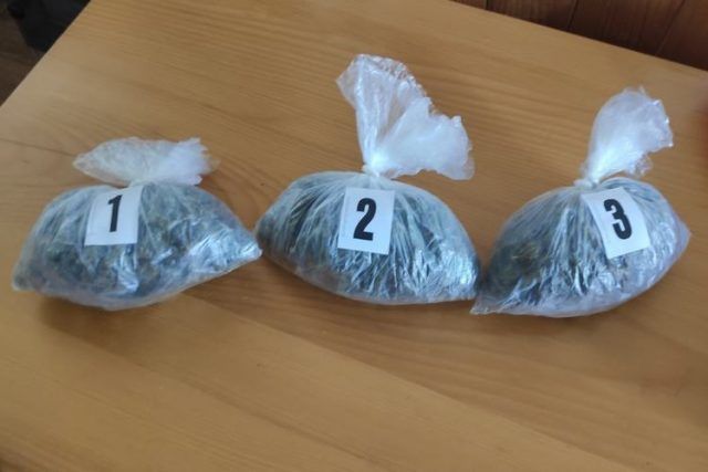 Droga marihuana Droga marihuana