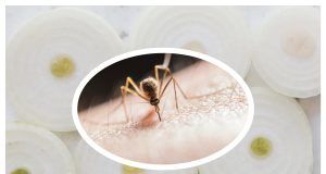 MixCollage 08 Jul 2024 08 26 AM 5858