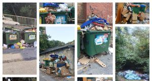 MixCollage 24 Jul 2024 09 12 AM 5039