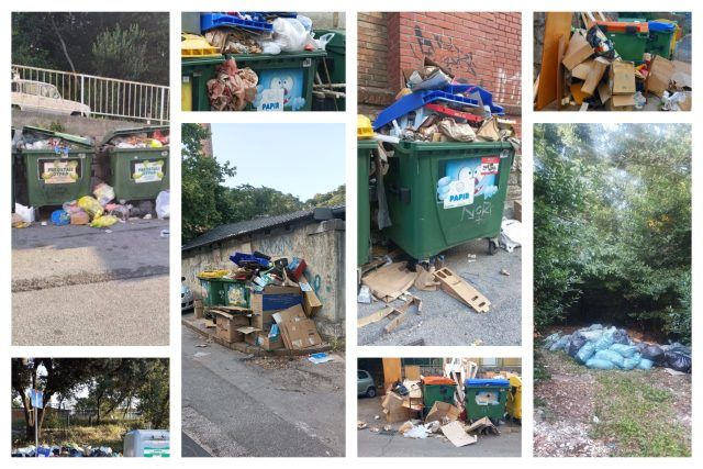 MixCollage 24 Jul 2024 09 12 AM 5039