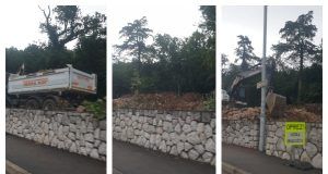 MixCollage 24 Jul 2024 10 13 AM 1183