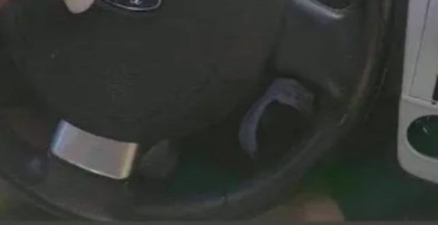 a76f033e 33cc 489f b7ca 1f053649cb1f