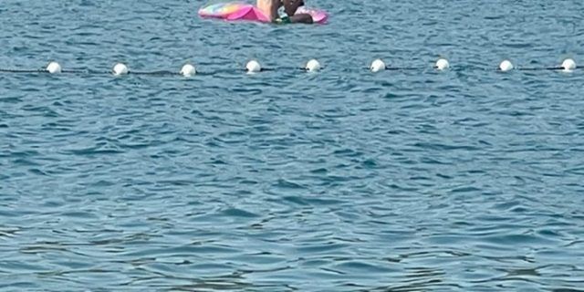 cfbbdc8b d016 4819 b5e4 25ef615922ad