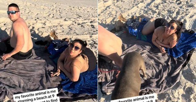 o 34339955 1280 o 34339955 1280