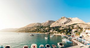 pexels photo 12652573