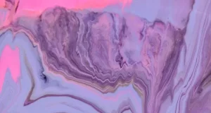 pexels photo 6404198