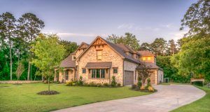 pexels pixabay 259588