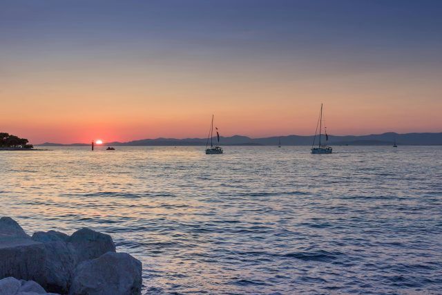 pexels stevan aksentijevic 1049940 2831102 (1)