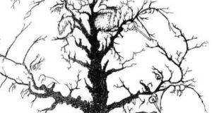 1526603 opticka iluzija ls