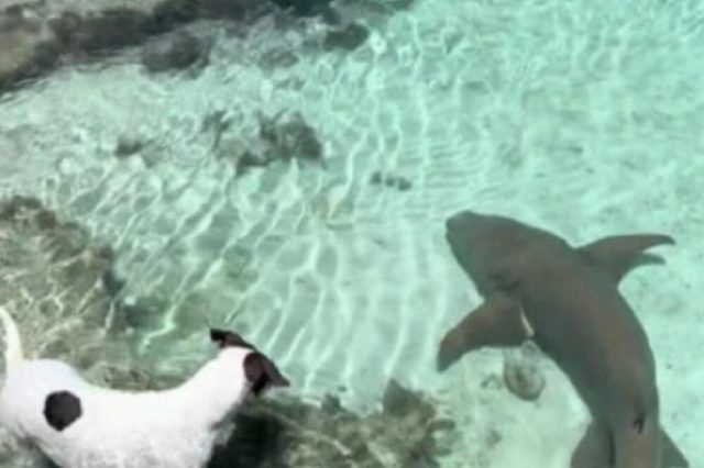 1527915 untitled ls 1527915 untitled ls