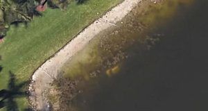 1528527 untitled ls (1)