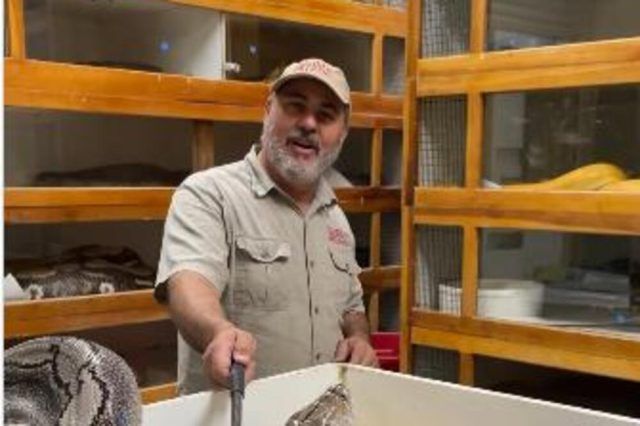 1529188 screenshot 20240829 181351 ls