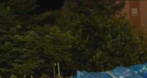 1e7a20e1 cb36 4c3f ae24 995407580af0