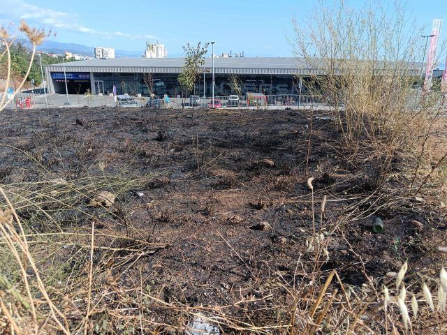 454273509 2409069602616672 7850889077709155542 n