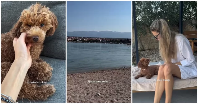 7bc66855 7db0 4bd7 8c21 662445afc116 7bc66855 7db0 4bd7 8c21 662445afc116