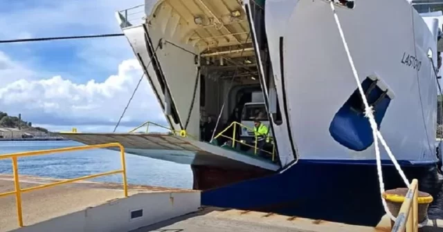 8ce5fc7e 7a1e 437e 99d7 4e52f4220fbf 1 (1)