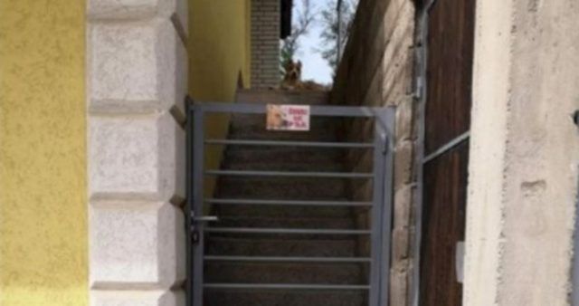 9cd496da a0eb 4341 9361 7a951fed2c27