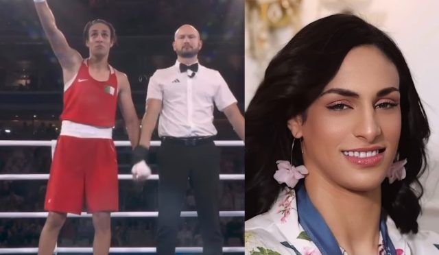 Boksačica Boksačica